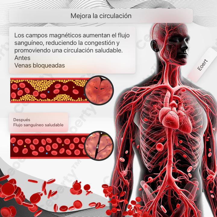 Salud Prostática Mejorada: Comprueba los Beneficios Hoy